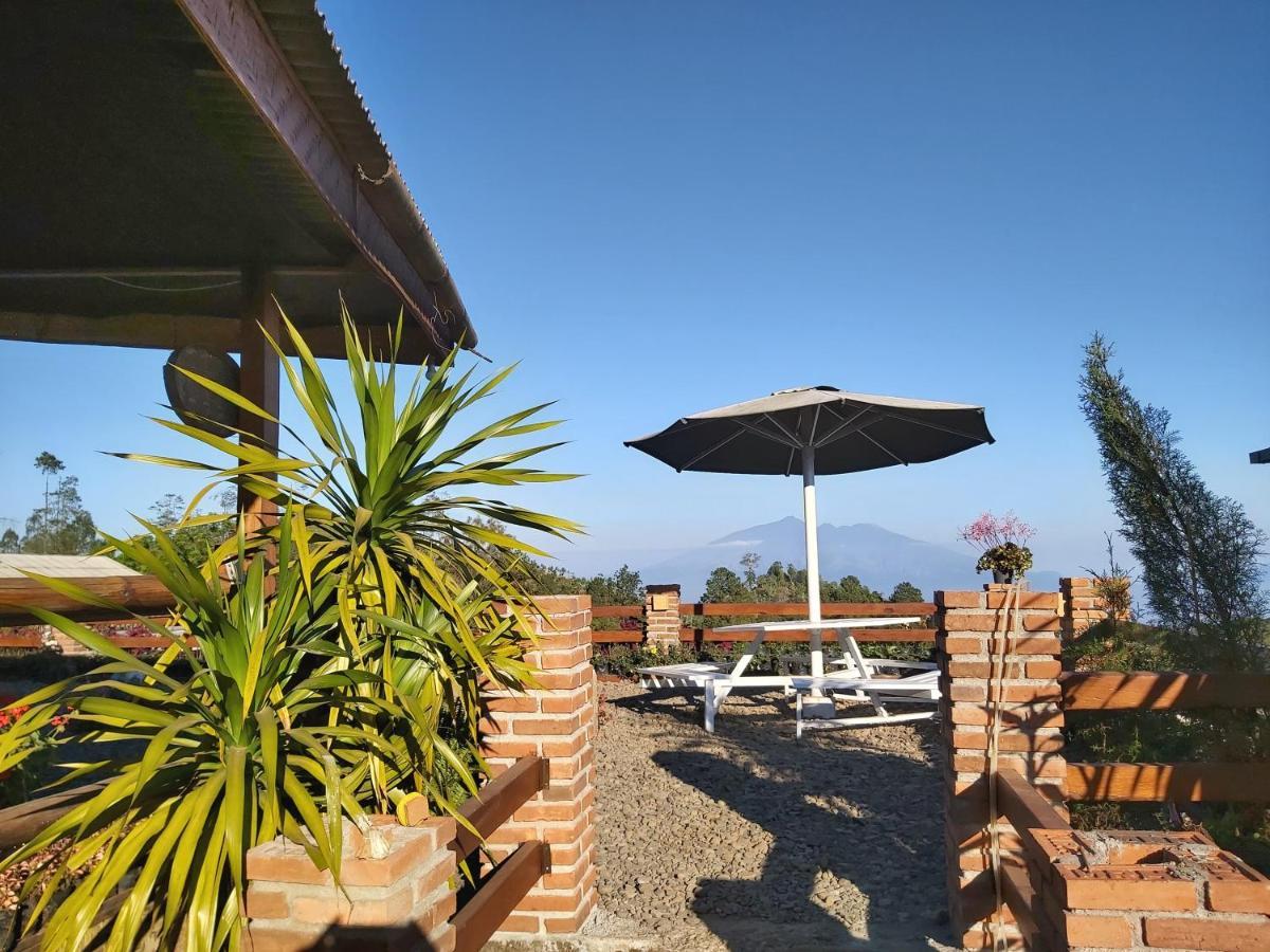 Séjour chez l'habitant Ecobromo *